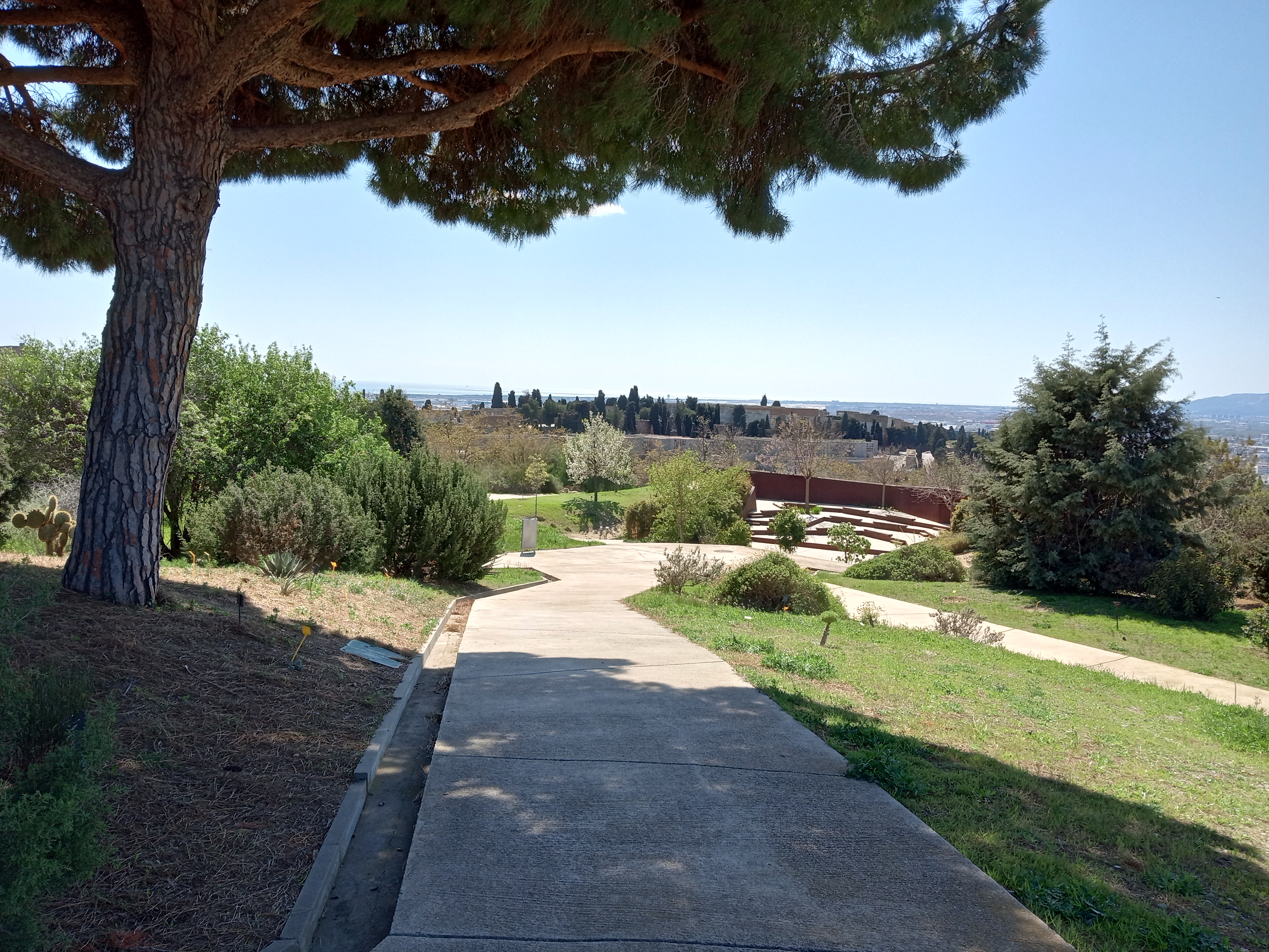 Amphitheater in Botanical Garden