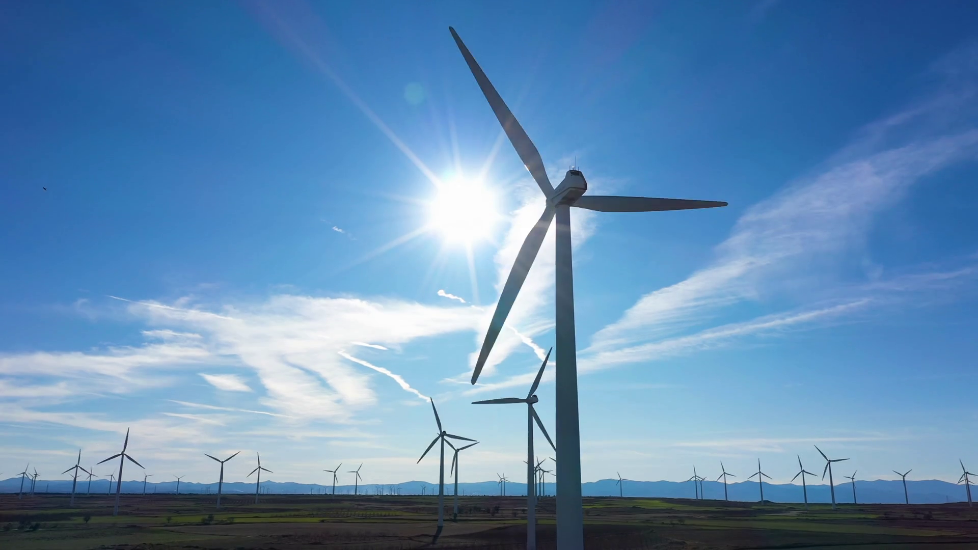 Wind Farm: La Muela