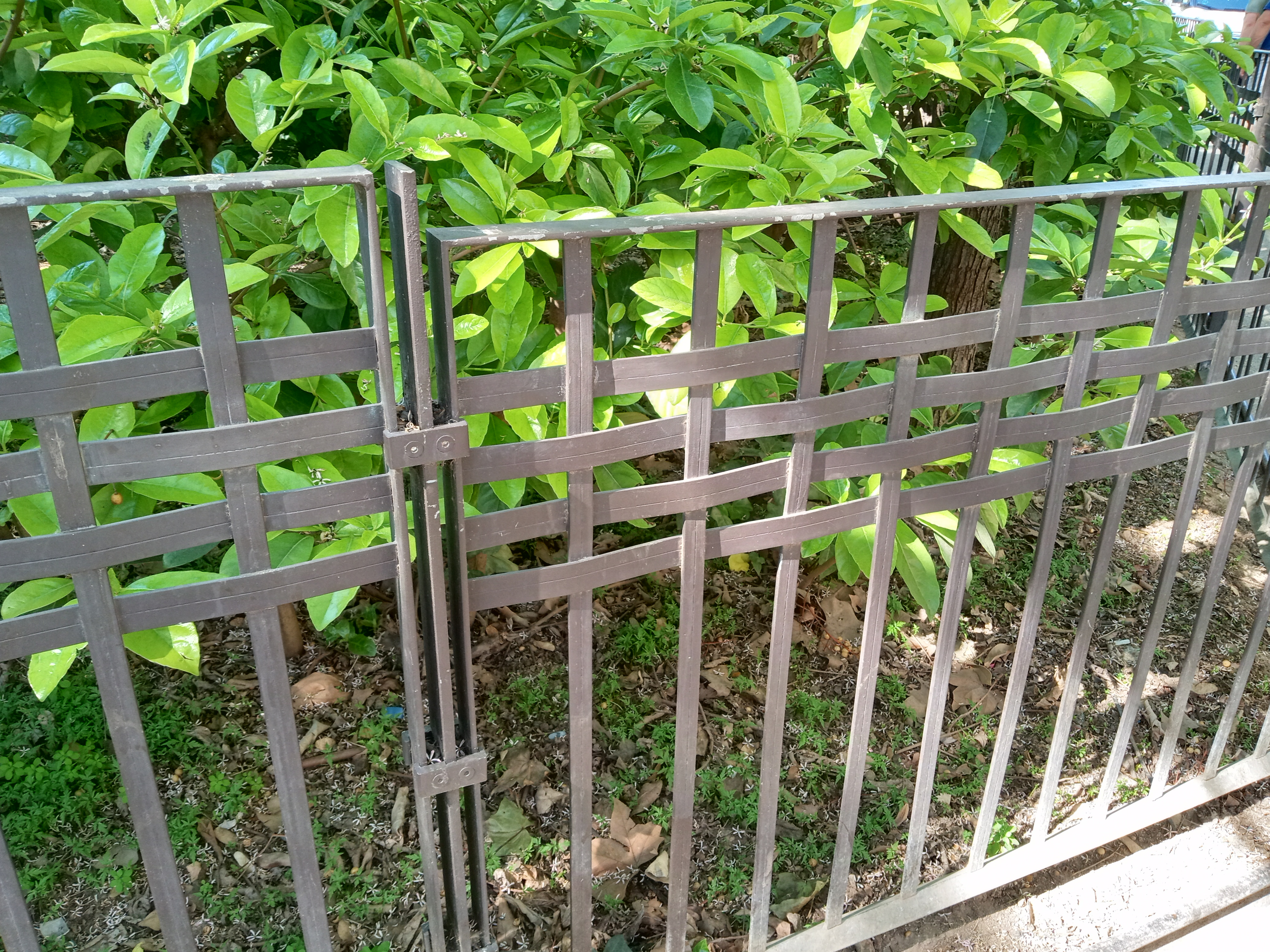 Fence at Sagrada Familia