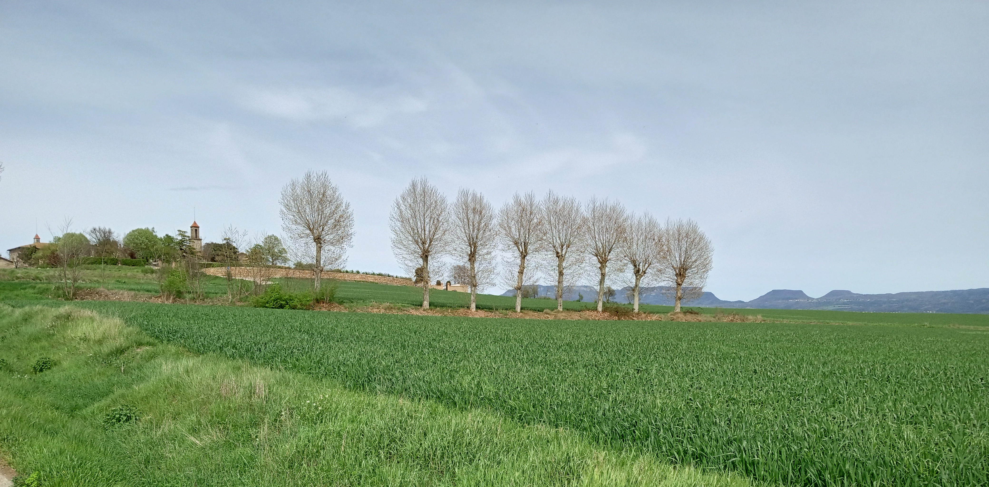 Fields near Manlleu