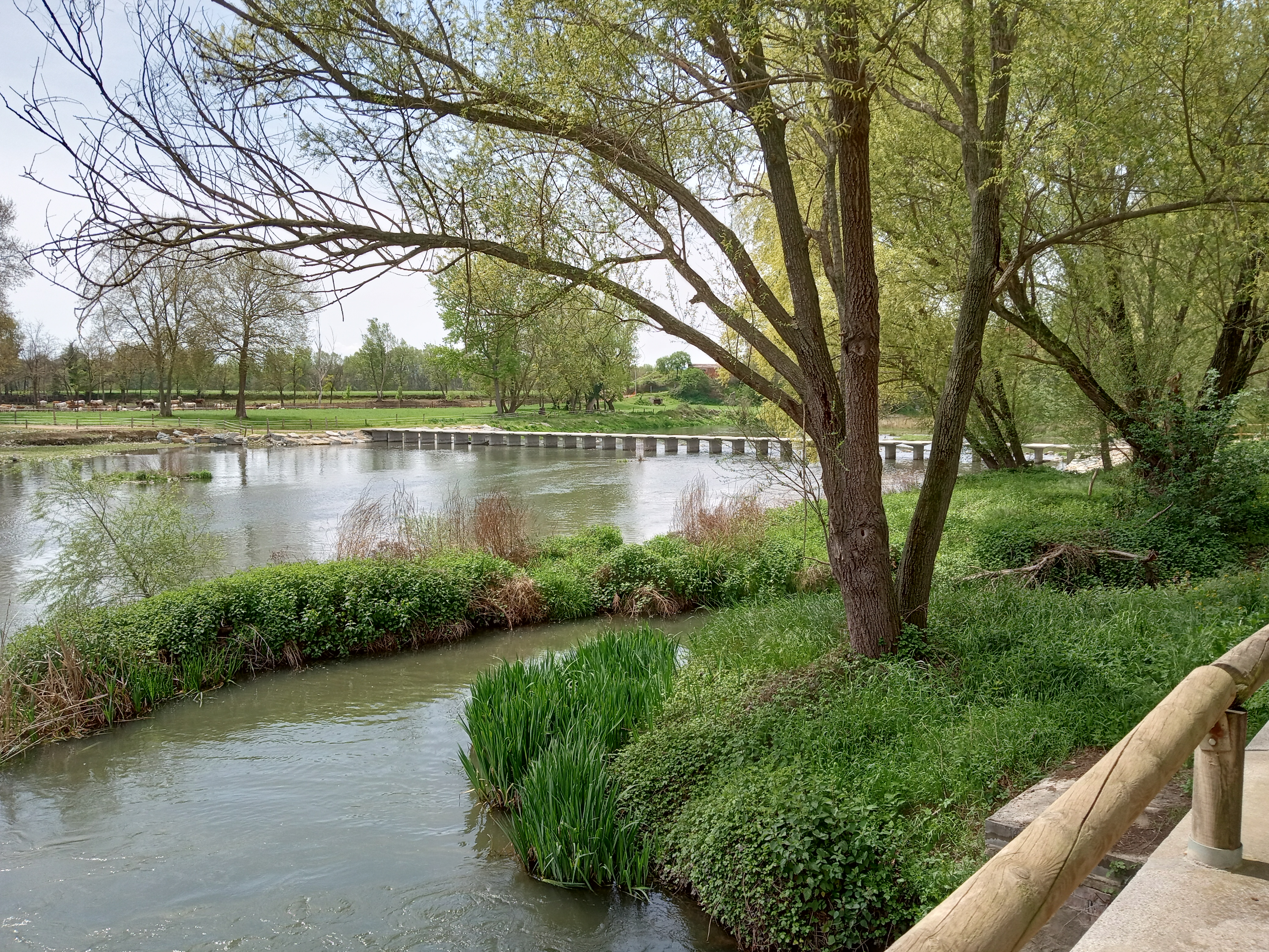 River Crossing