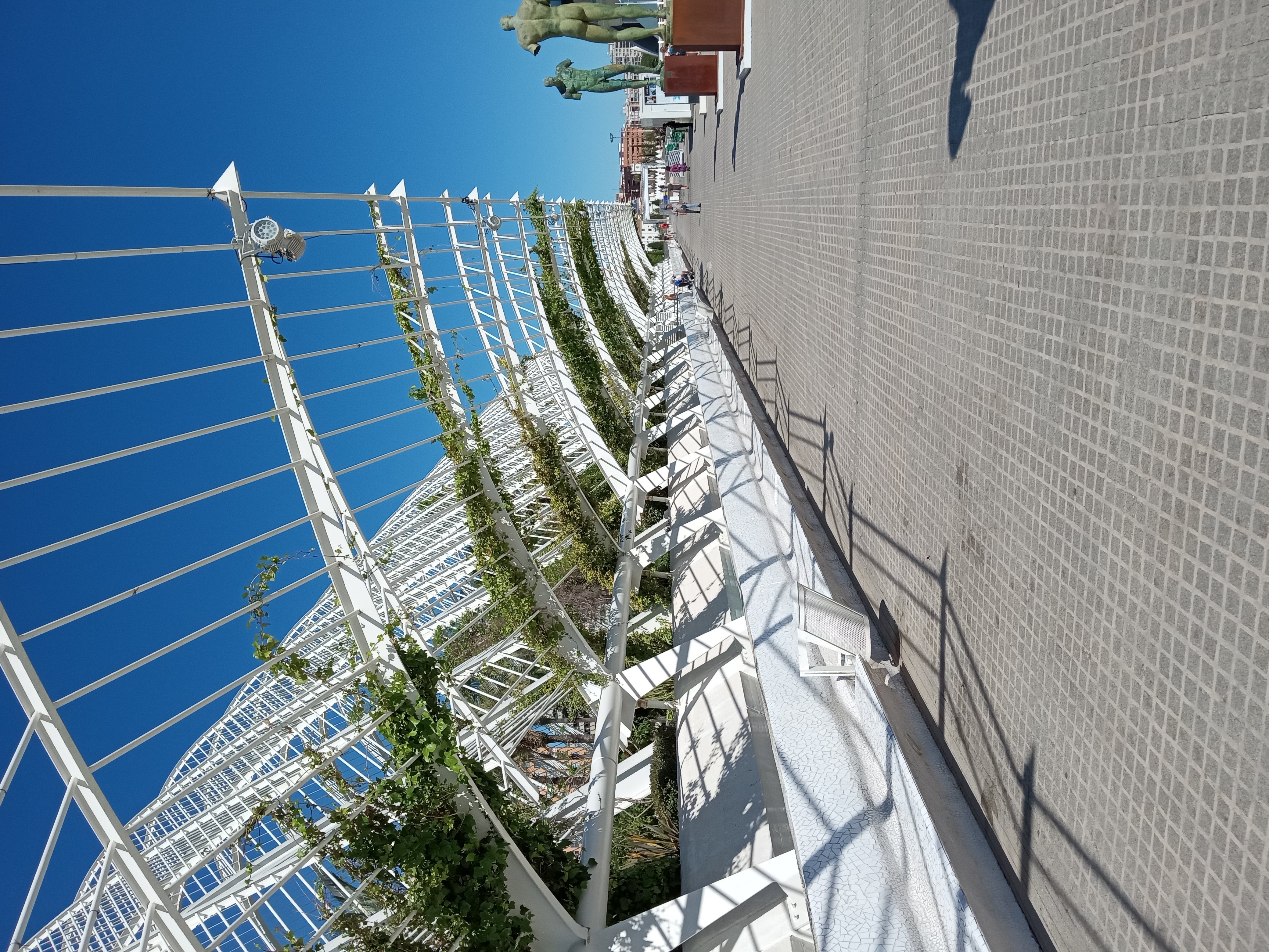 Valencia Ciudad de Artes y Ciencias: Jardin